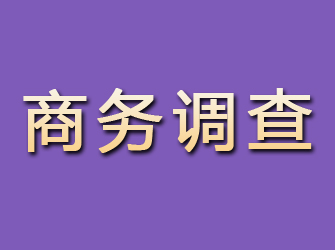 金山屯商务调查